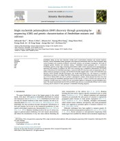 Single nucleotide polymorphism (SNP) discovery through genotyping-by￾sequencing (GBS) and genetic characterization of Dendrobium mutants and cultivars