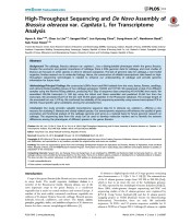 High-Throughput Sequencing and De Novo Assembly of Brassica oleracea var. Capitata L. for Transcriptome Analysis
