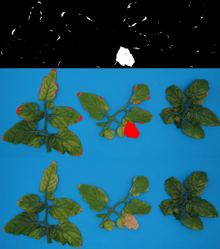 그림4.png