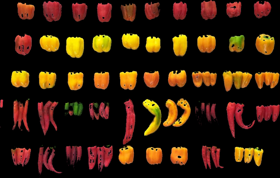 240509_pepper_1_setting.png