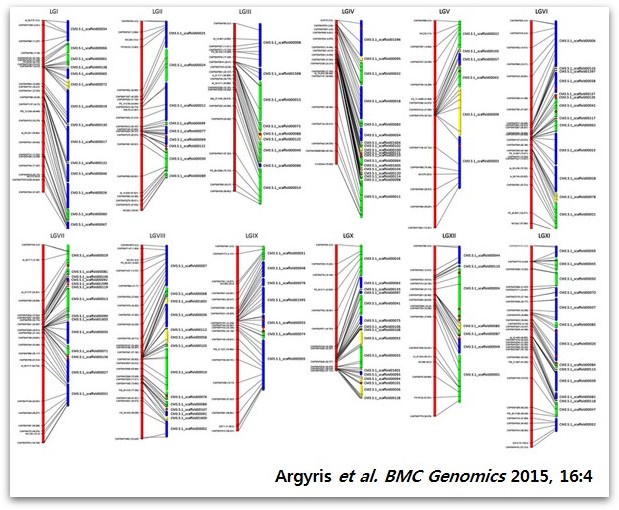 Anchoring scaffold to genetic map