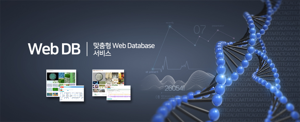 맞춤형 Web Database 서비스