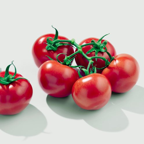 선별된 방울토마토