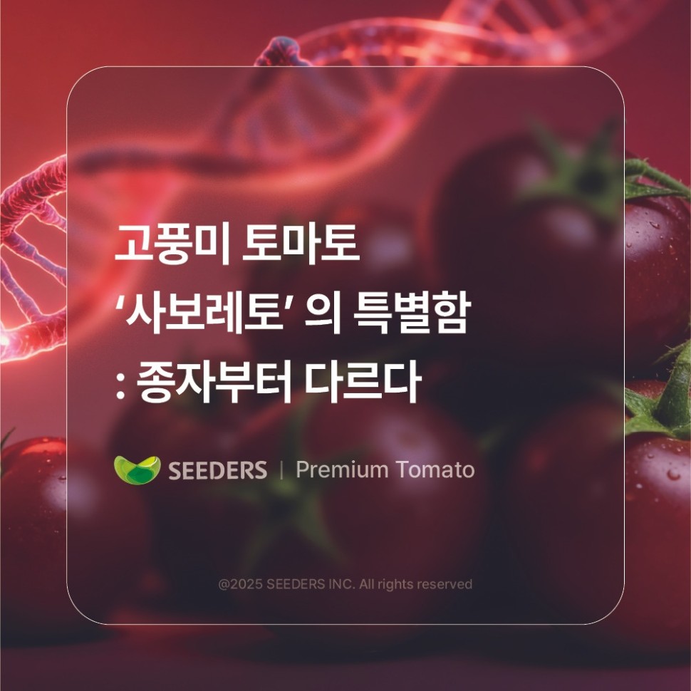다운로드_(11).jpg